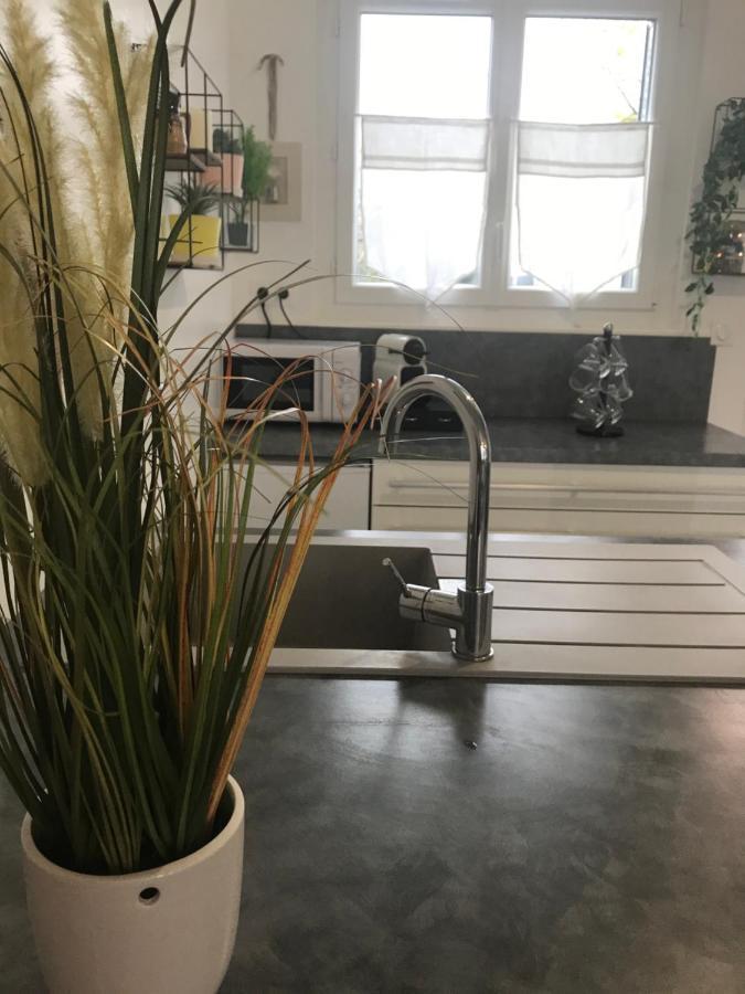 Maison 4 Chambres Jardin Et Parking Déols Eksteriør billede